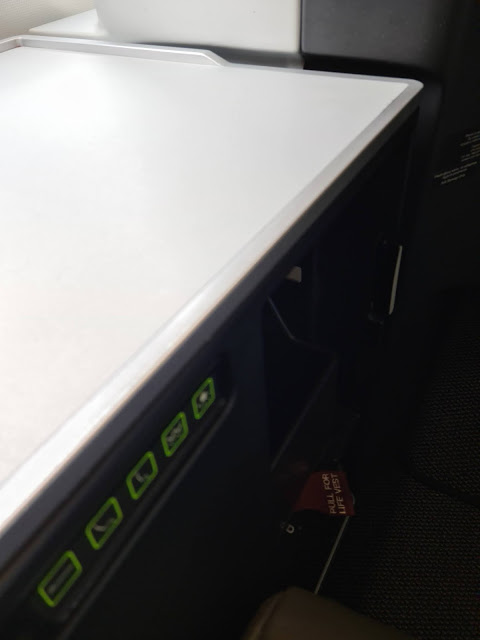 TRIP REPORT: Air Serbia, Belgrade - Podgorica on A330