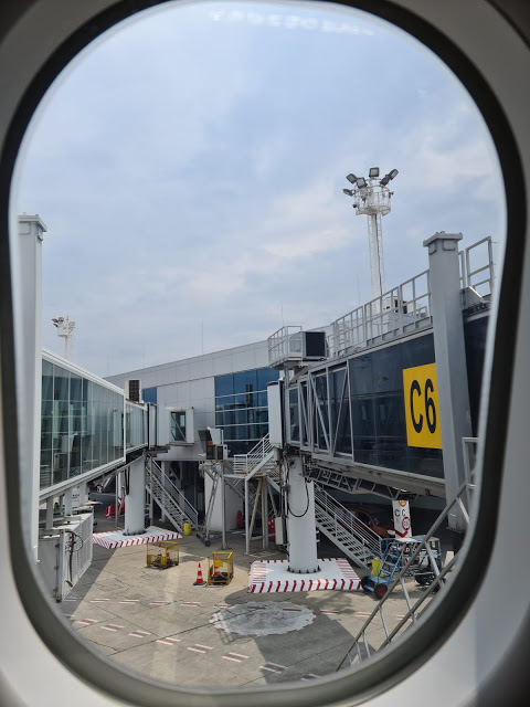 TRIP REPORT: Air Serbia, Belgrade - Podgorica on A330