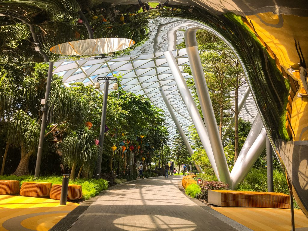 Canopy Park In Jewel Changi