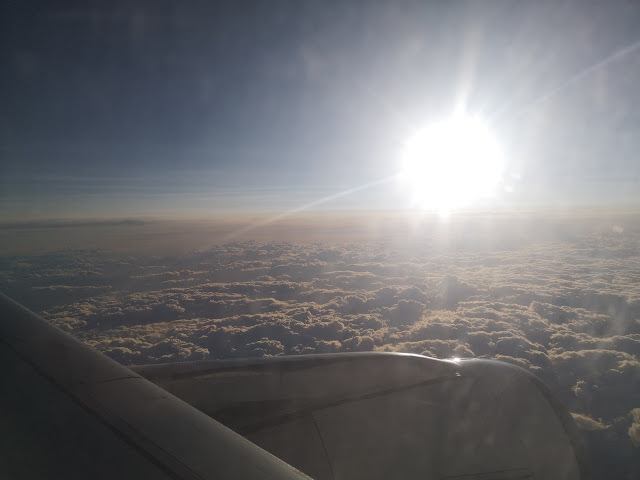TRIP REPORT: Aegean, Larnaca - Belgrade via Athens