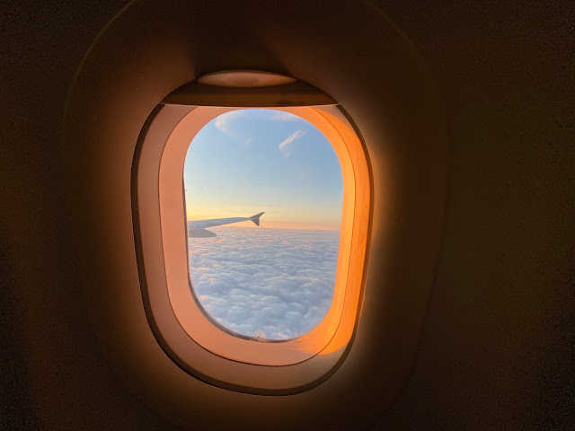 TRIP REPORT: Air Serbia, Belgrade - Frankfurt