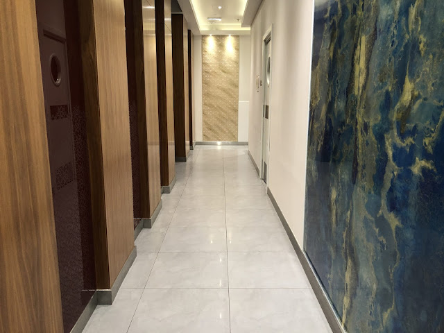 TRIP REPORT: Air Serbia, Paris - Belgrade