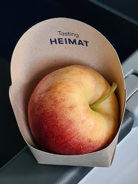 TRIP REPORT: Lufthansa’s business class from Belgrade