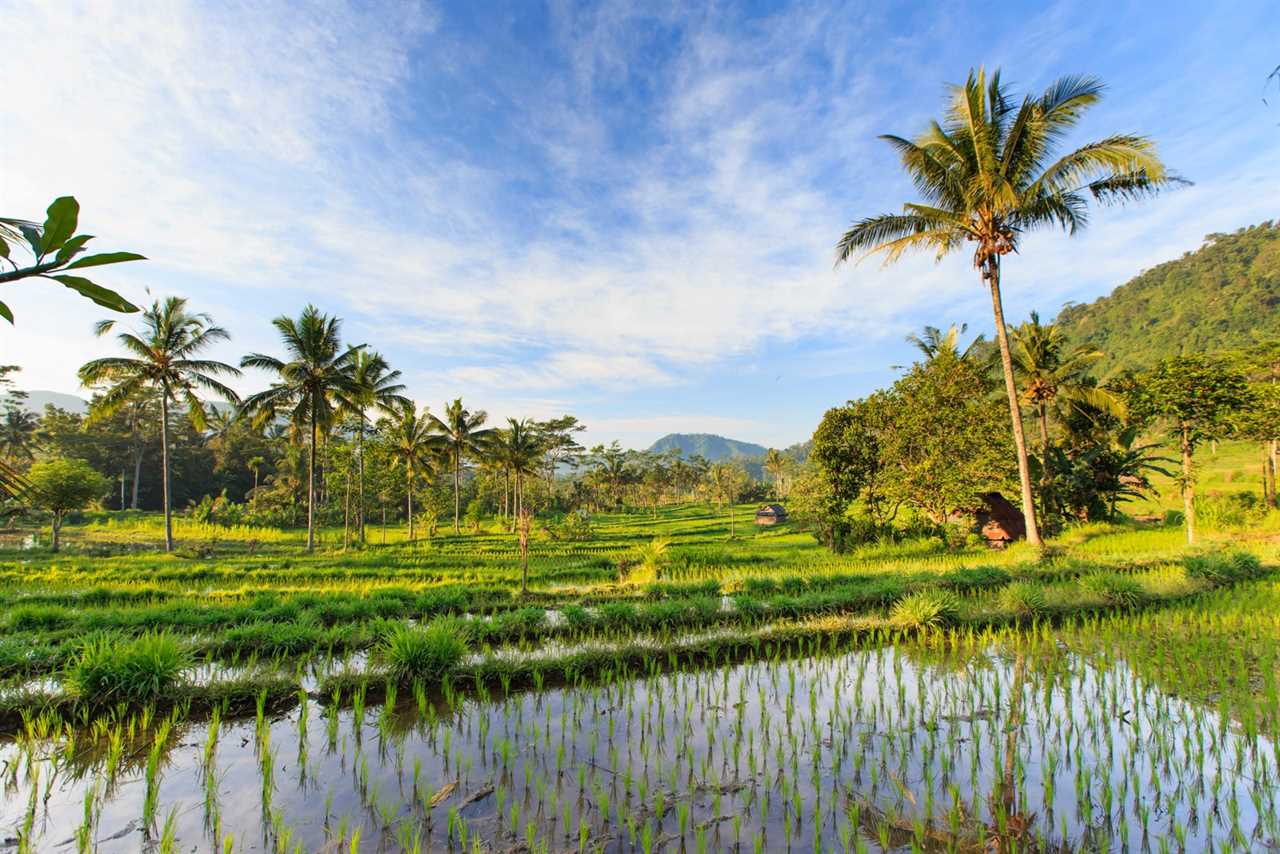 The Sidemen Rice Fields in Bali, Indonesia