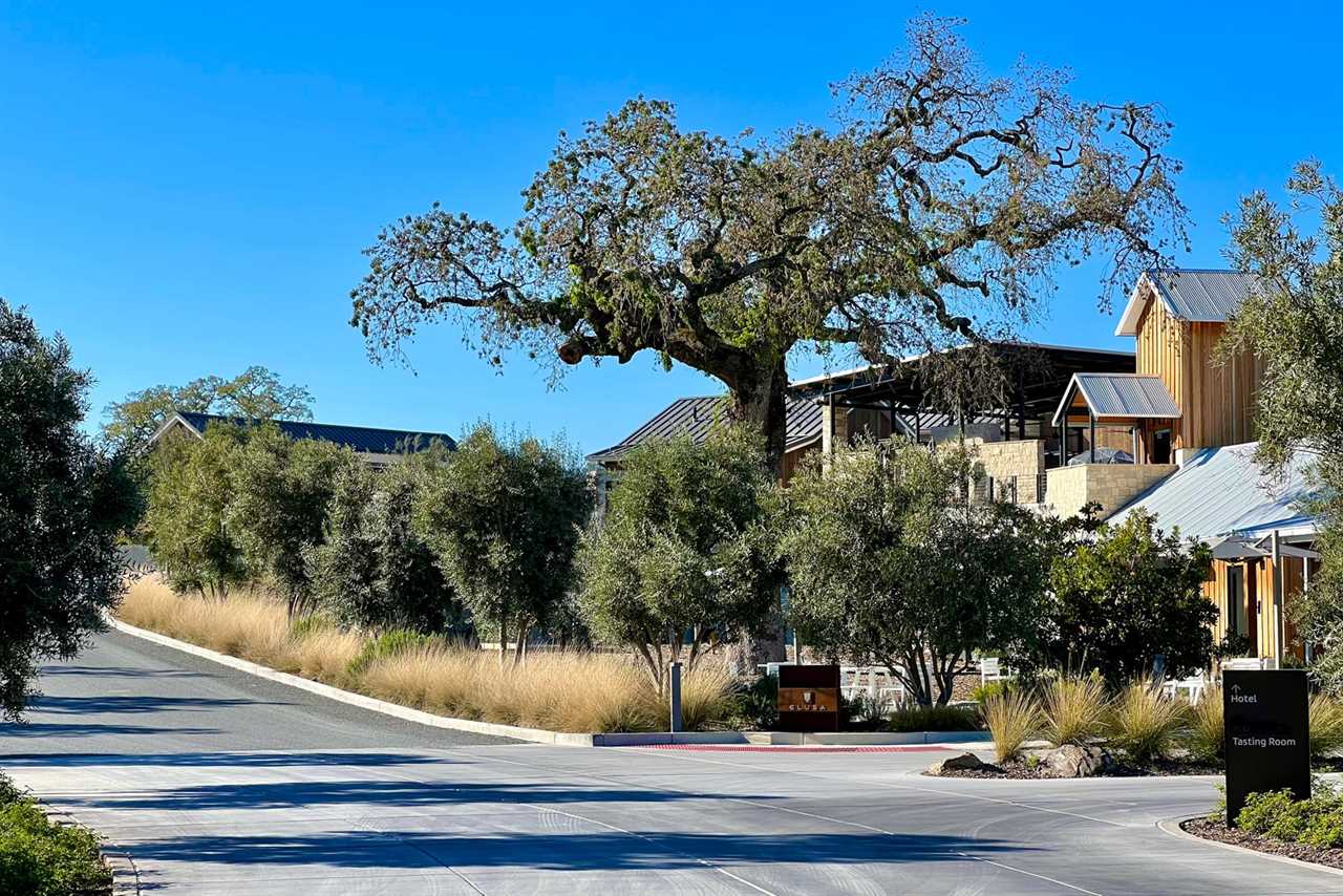 Not entirely ripe: A good-enough stay at the Four Seasons Napa Valley