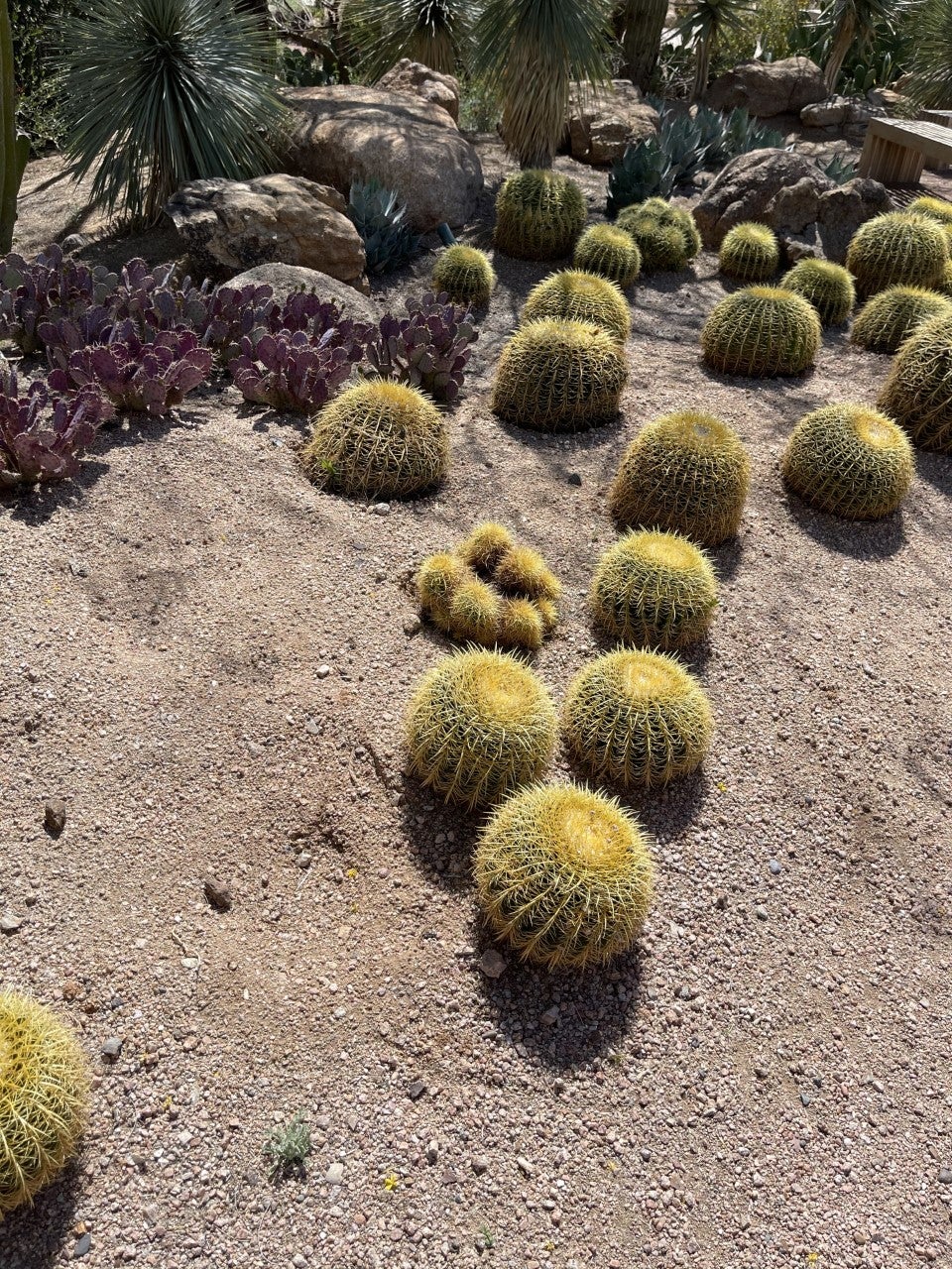 Boulders Resort & Spa Scottsdale, Curio Collection by Hilton