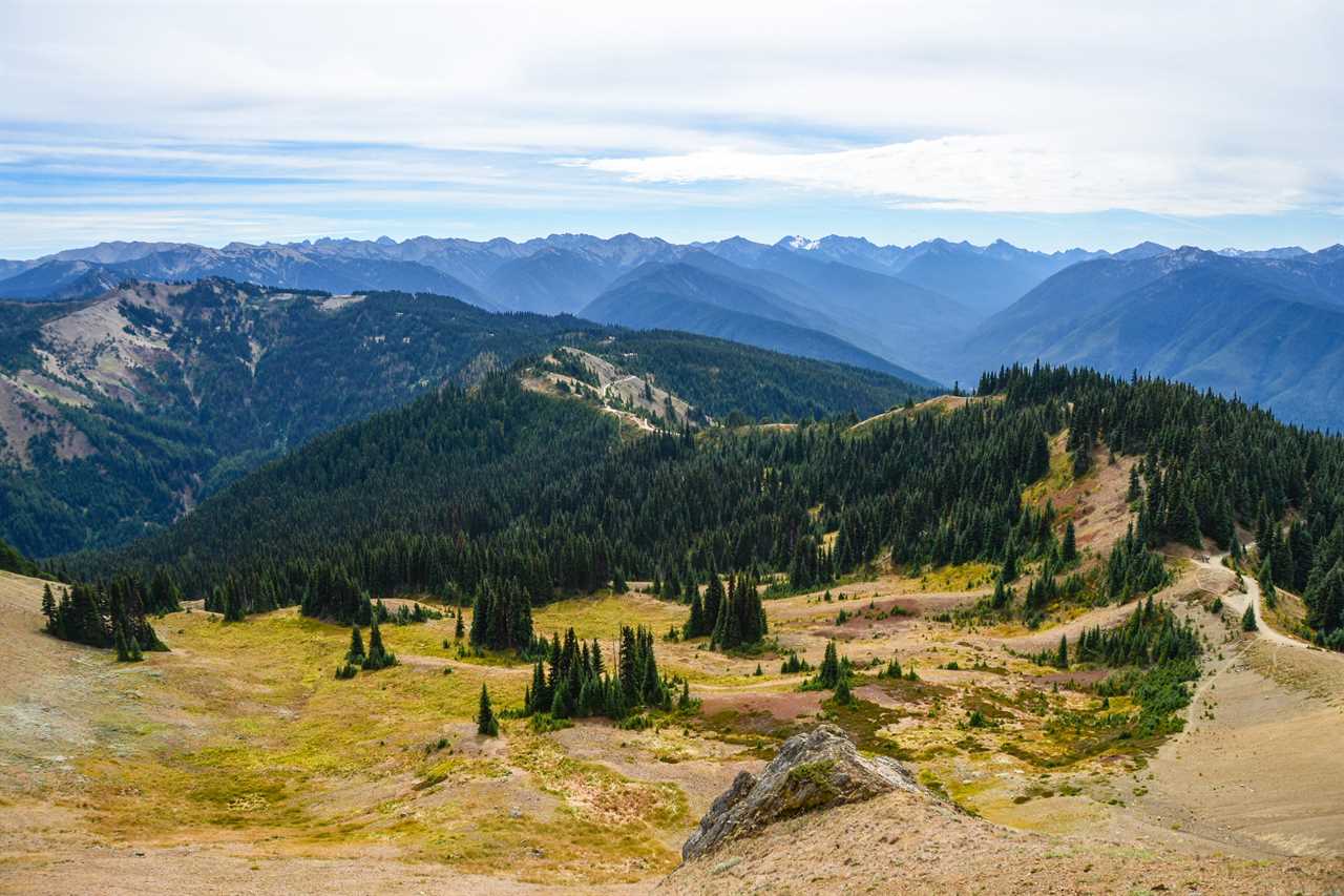 Olympic National Park