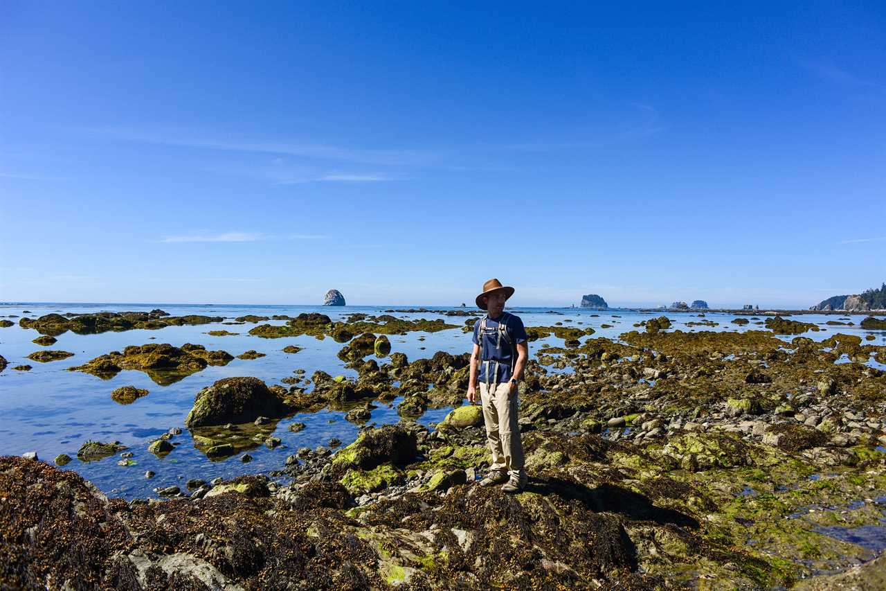 olympic-national-park-washington-ozette-sand-point-trail-hiking-beach-ocean