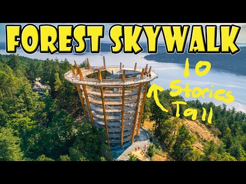 Malahat Skywalk: Vancouver Island's Amazing New Viewpoint