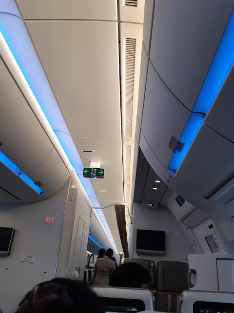Air Mauritius / Air France HOP: Mauritius - Ljubljana via Paris
