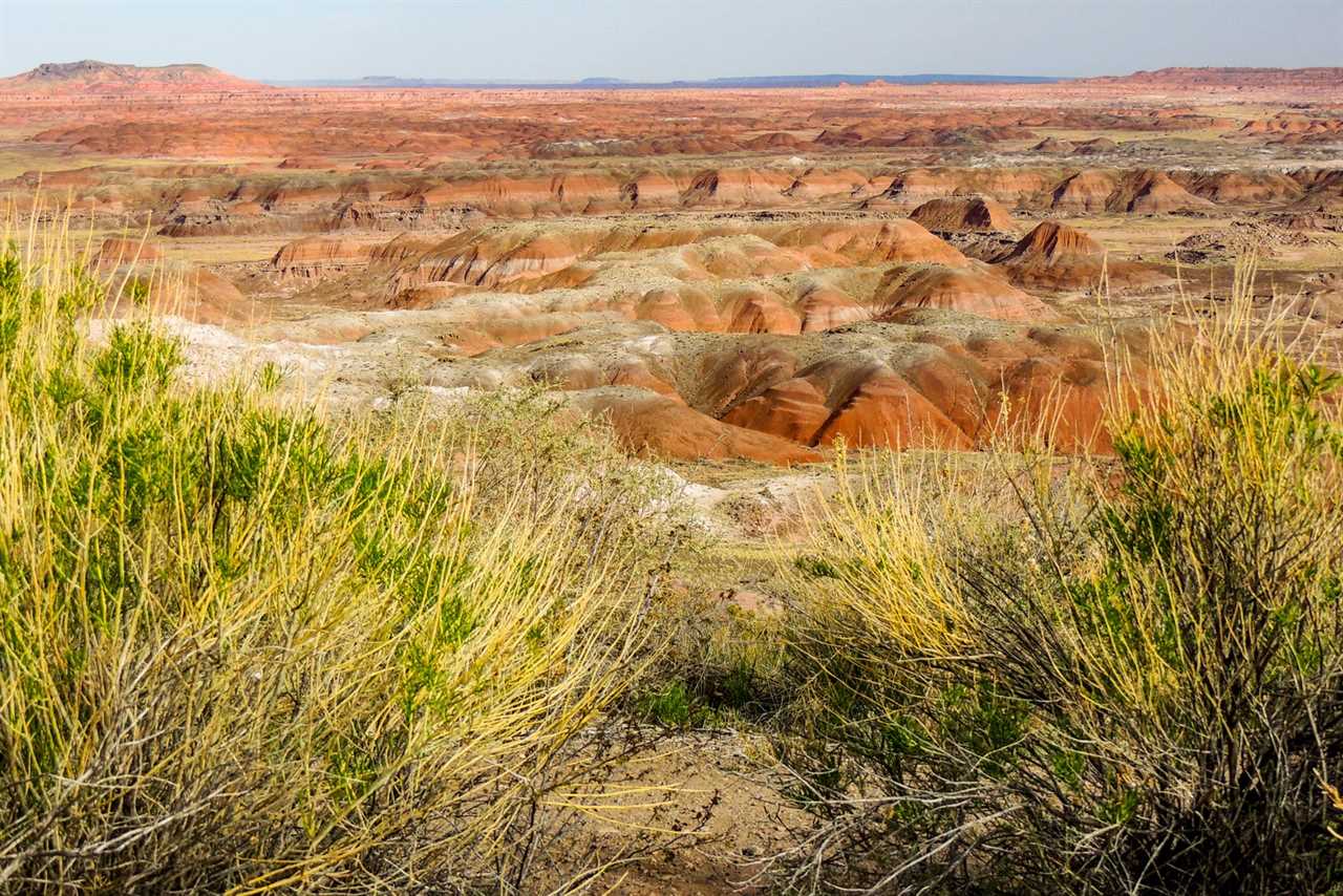 Getting off the well-beaten path: Why you should visit Petrified Forest National Park