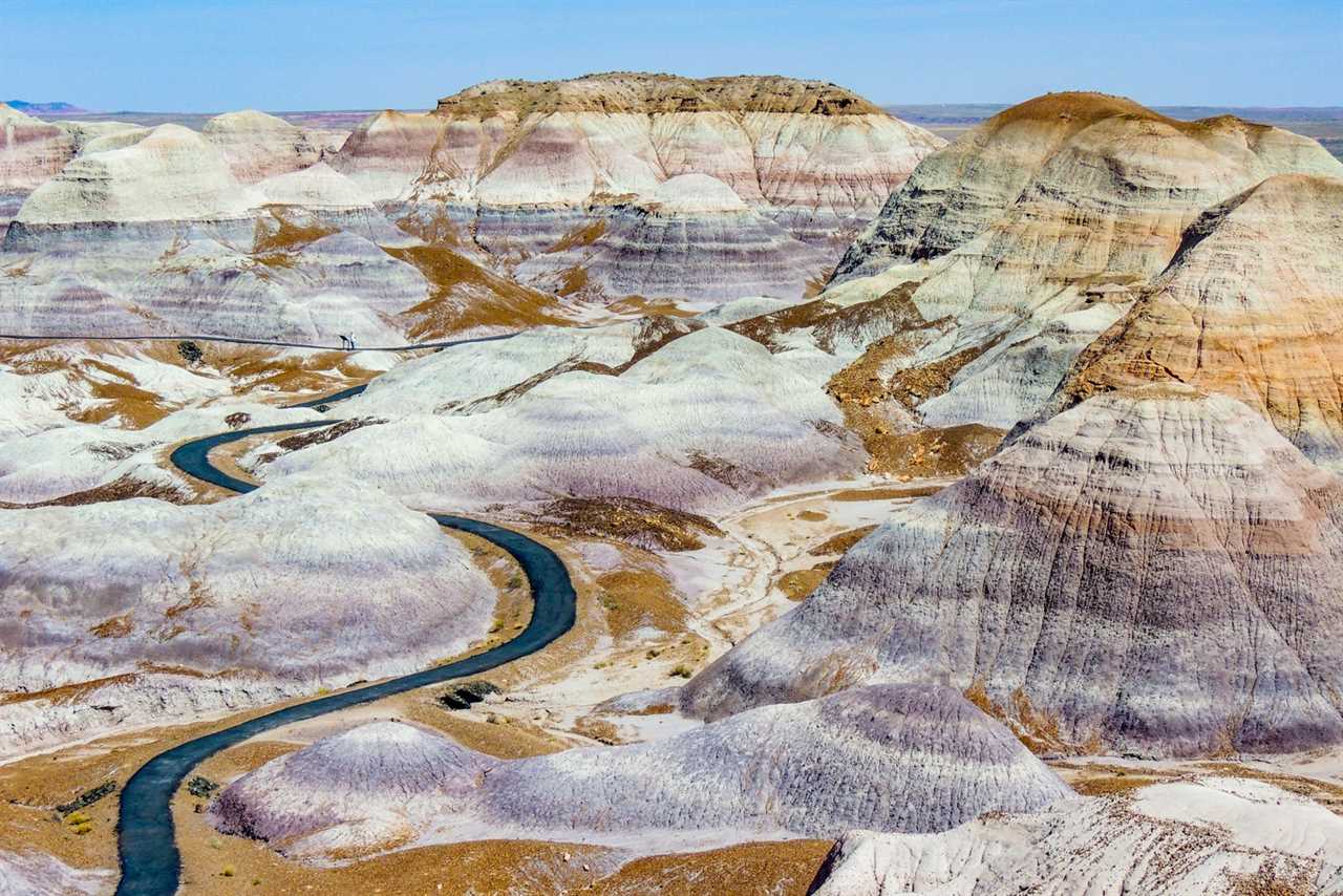 Getting off the well-beaten path: Why you should visit Petrified Forest National Park