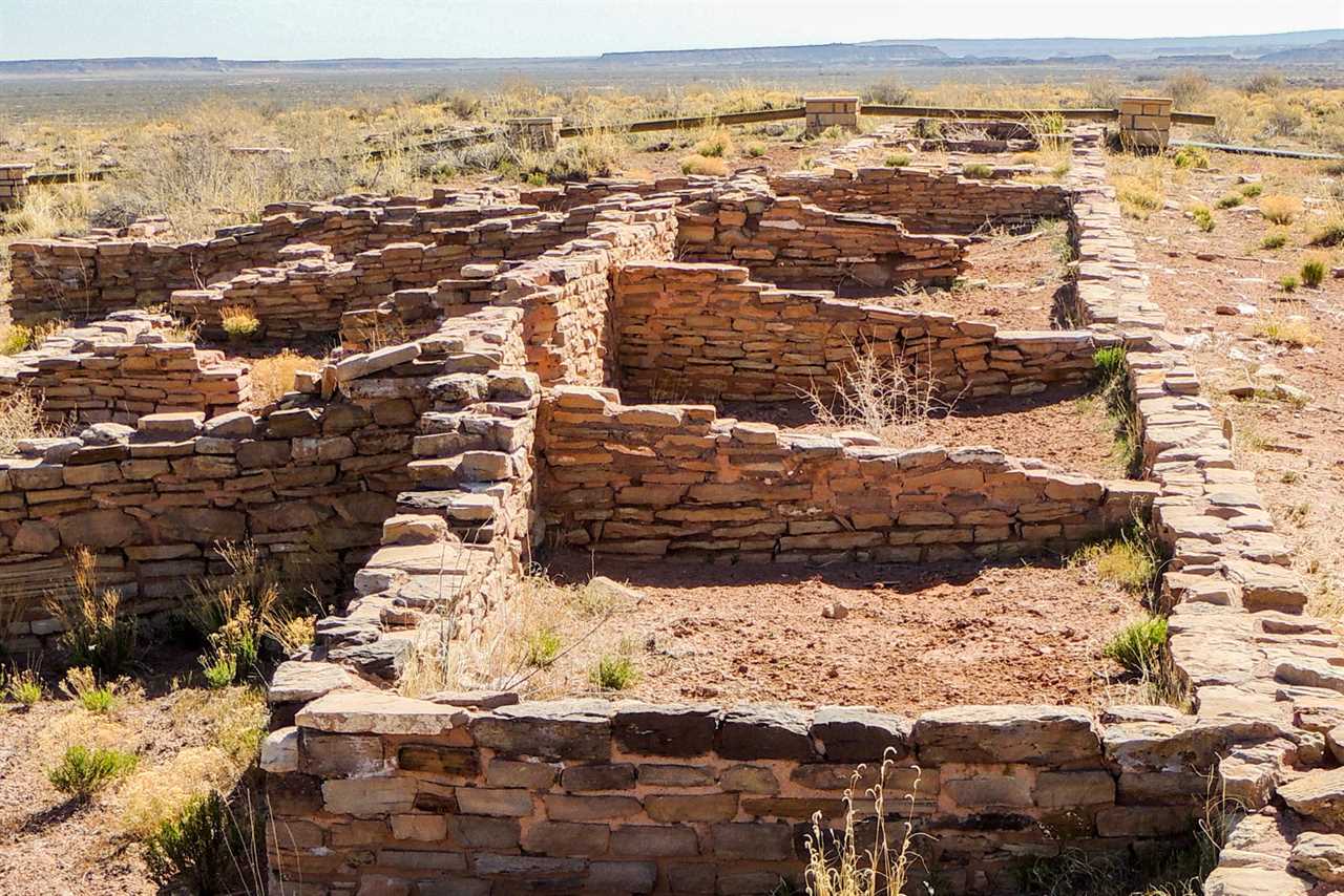 Getting off the well-beaten path: Why you should visit Petrified Forest National Park