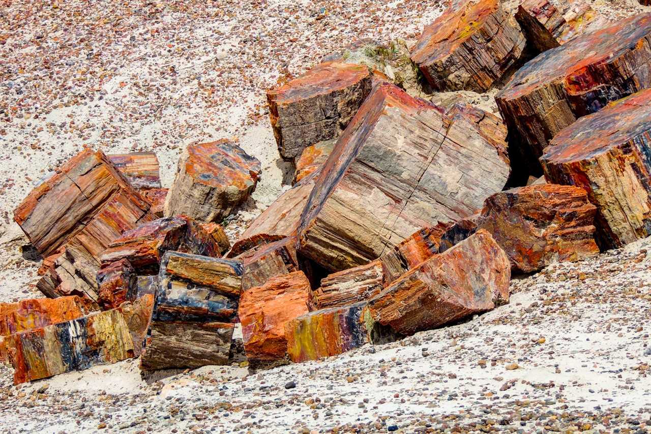 Getting off the well-beaten path: Why you should visit Petrified Forest National Park