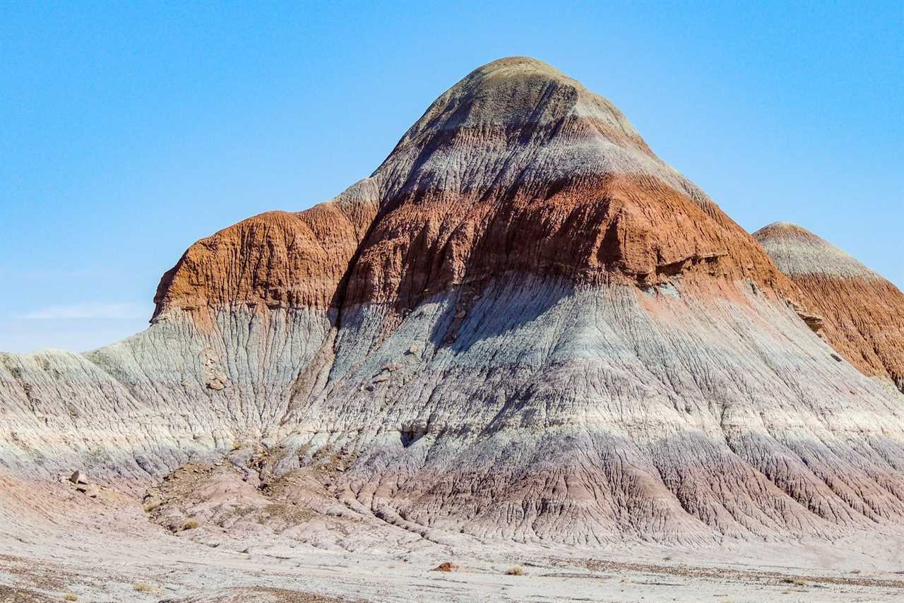 Getting off the well-beaten path: Why you should visit Petrified Forest National Park