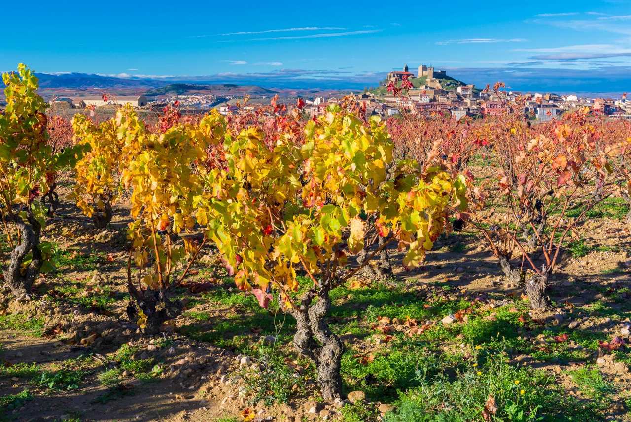 San Vicente de la Sonsierra, La Rioja. 