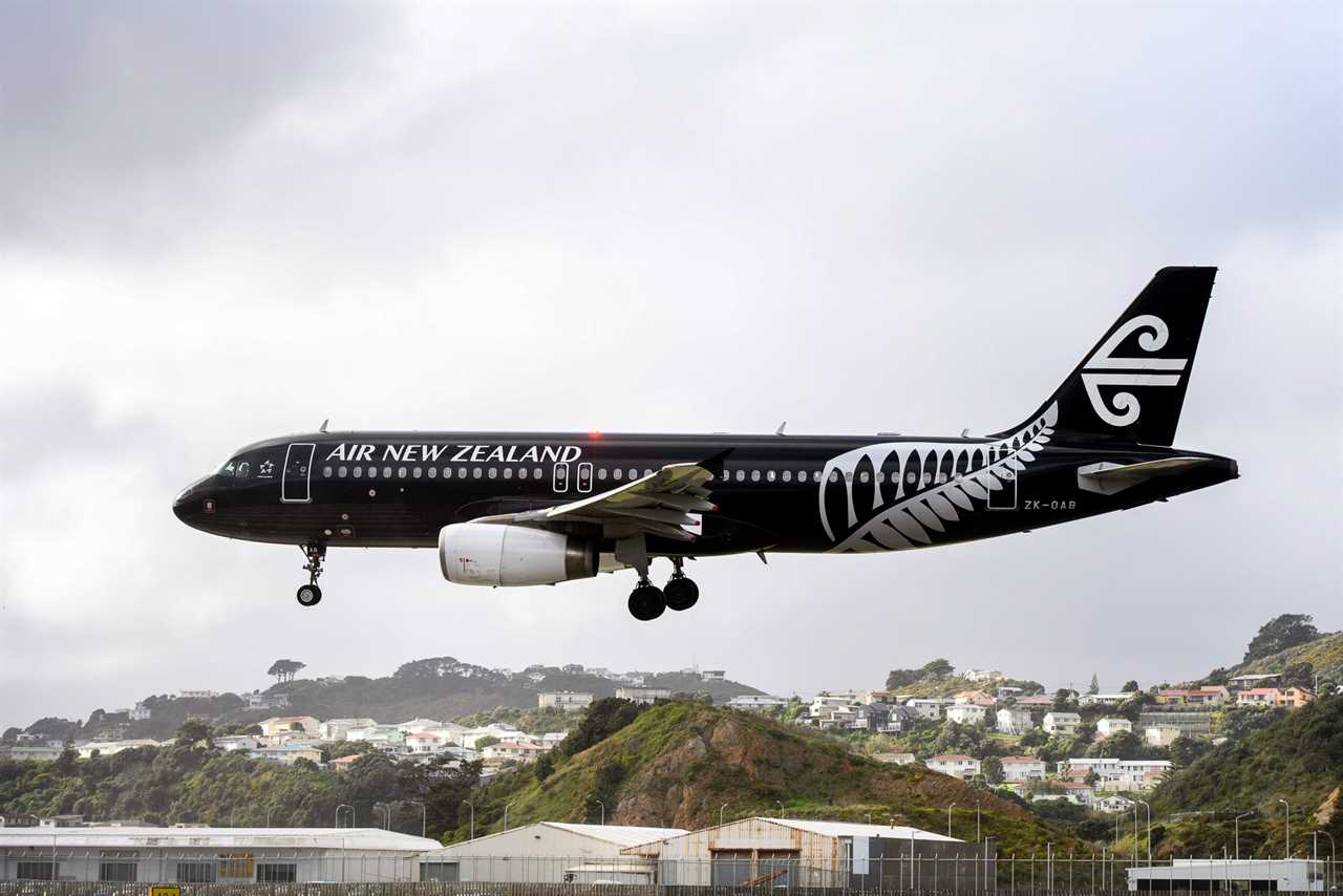 Air New Zealand aircraft in the sky