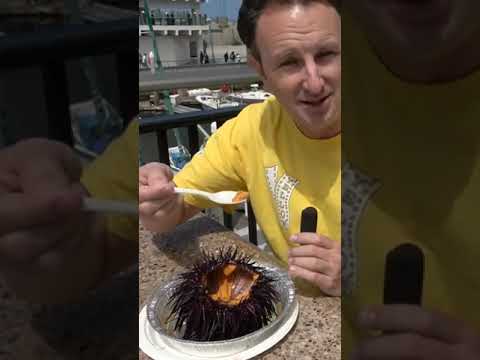 Eating SEA URCHIN at Redondo Beach Pier