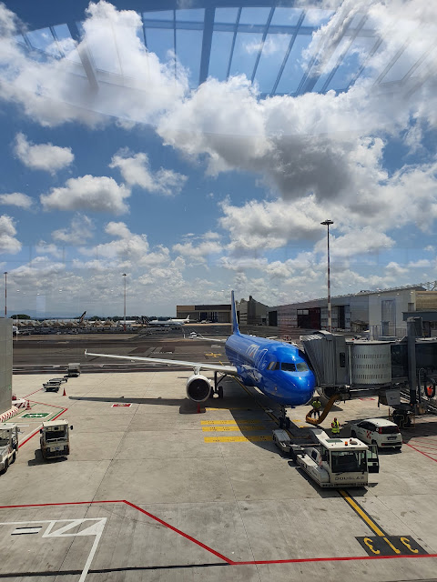 TRIP REPORT: Air Serbia and ITA from Serbia to Italy