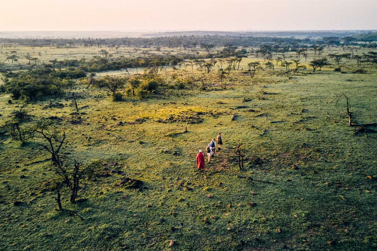 Up close and animal: Why walking safaris are so worthwhile