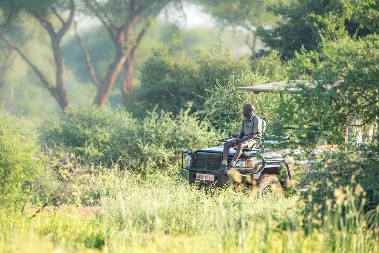 Up close and animal: Why walking safaris are so worthwhile