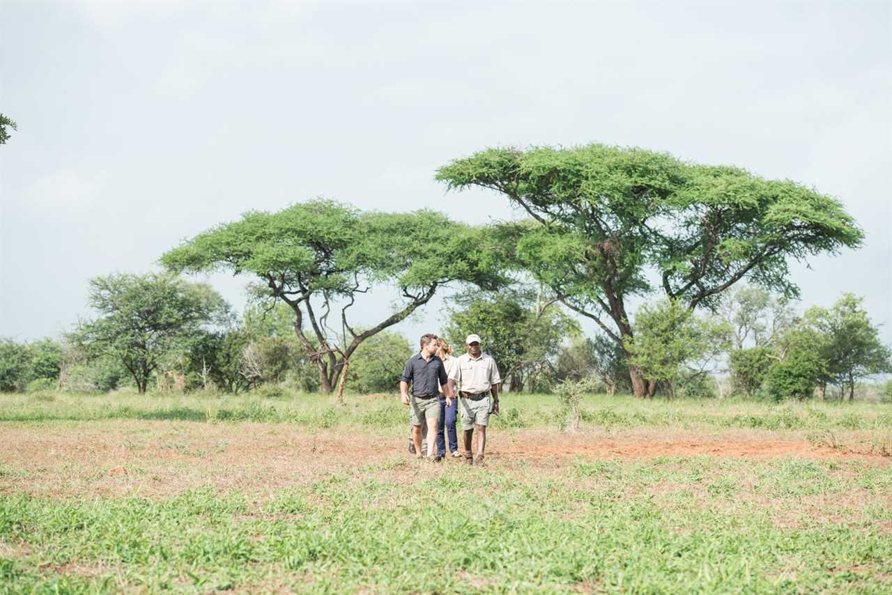 Up close and animal: Why walking safaris are so worthwhile