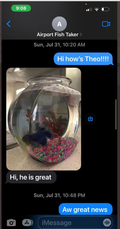 Traveling with a pet especially a fish is a bit unusual, but Theo was more than happy in his fish bowl. 