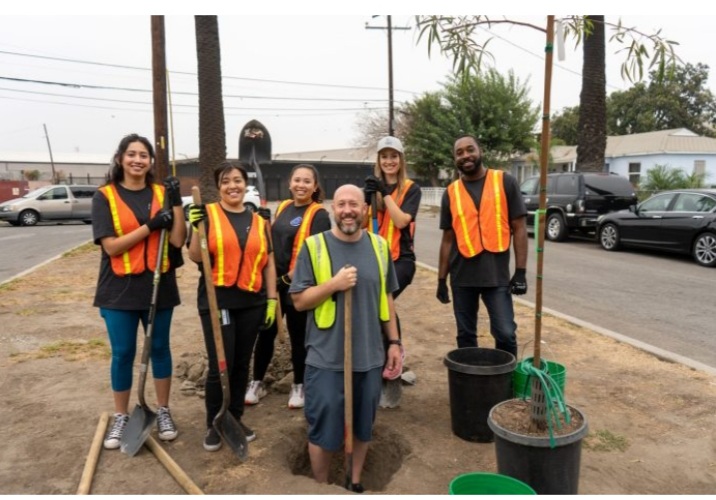 The Rock-it Global team planting trees at a recent initiative