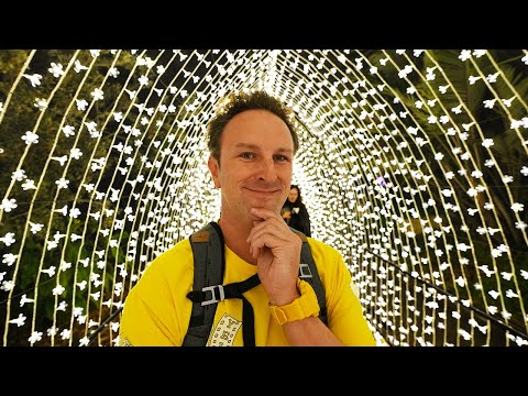 Visiting Lightscape at San Diego Botanic Garden