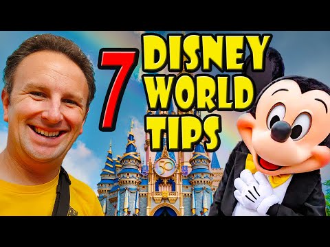 DISNEY WORLD TRAVEL TIPS: 7 Things to Know Before You Go