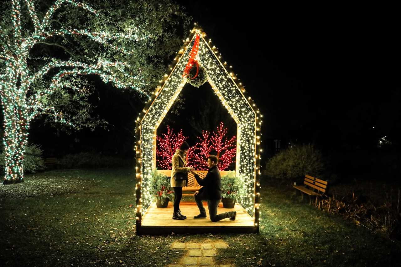 Redding Garden of Lights in Redding, California (Photo credit: Seth McGaha)