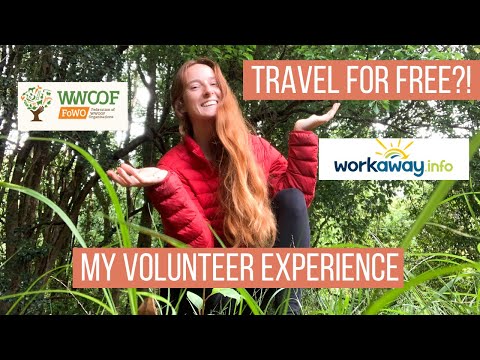 What is it REALLY LIKE to volunteer abroad (Volunteer Abroad Vlog)