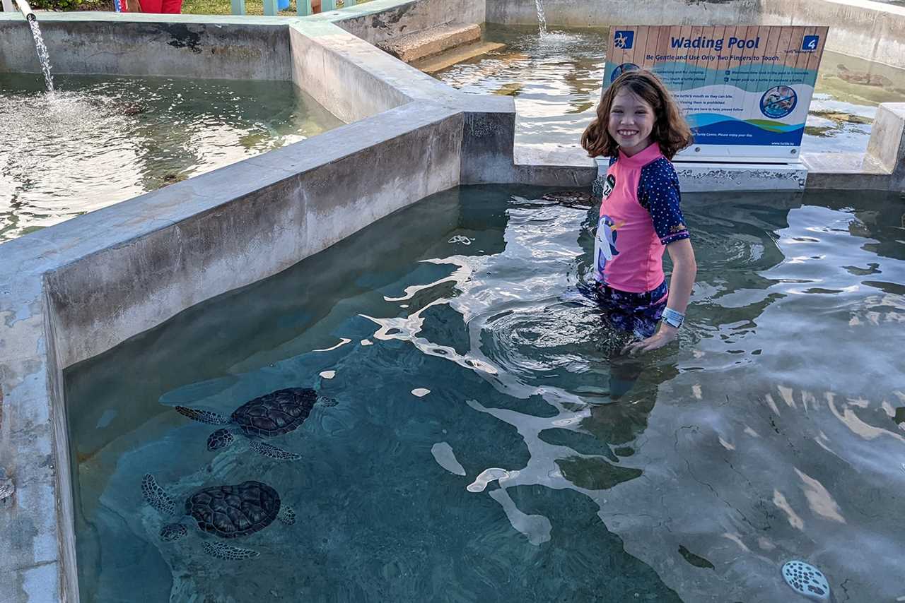 Girl in wading pool with turtles at Cayman Turtle Center