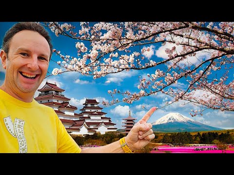 Complete Guide to CHERRY BLOSSOMS in JAPAN