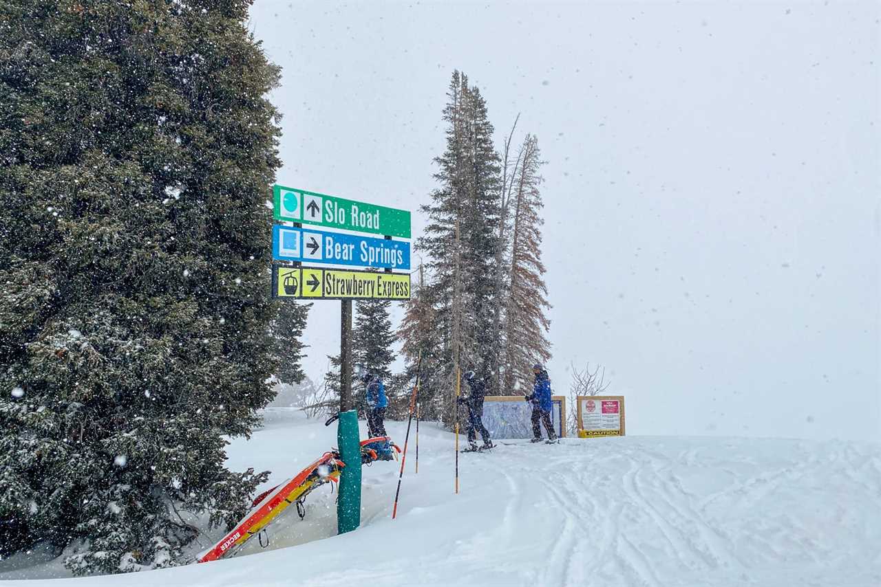 As a final frontier of Utah ski resorts, Snowbasin remains accessible for beginners