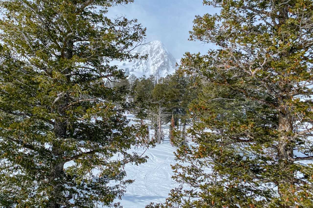 As a final frontier of Utah ski resorts, Snowbasin remains accessible for beginners