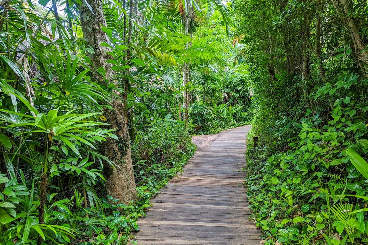 Six Senses Yao Noi path