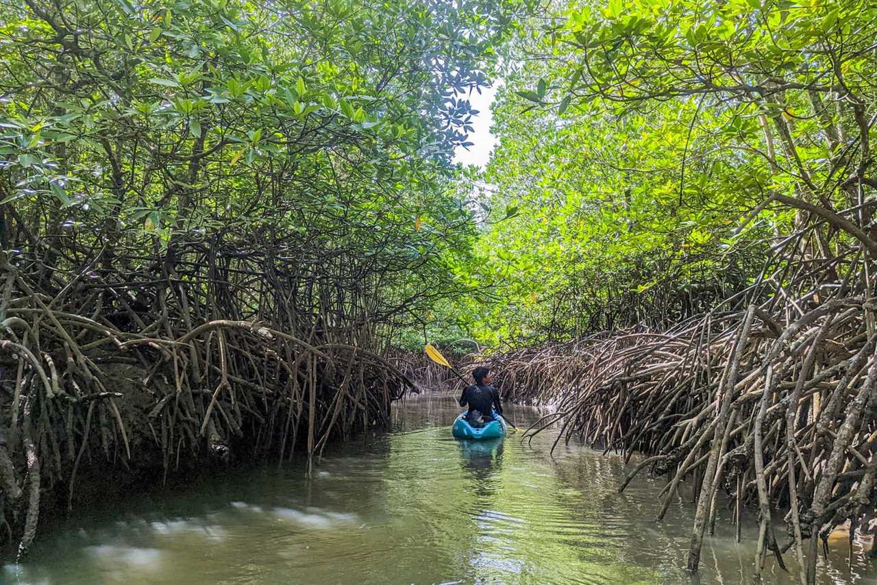 Six Senses Yao Noi kayaking