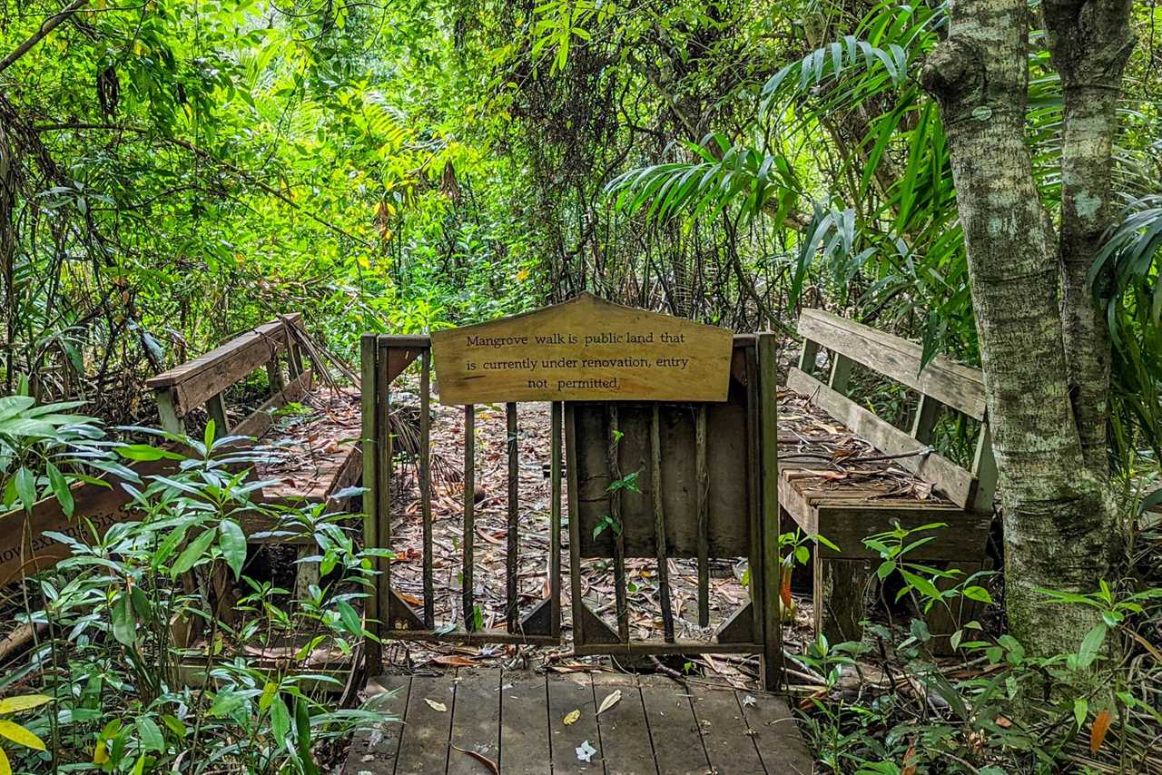 Six Senses Yao Noi mangrove trail