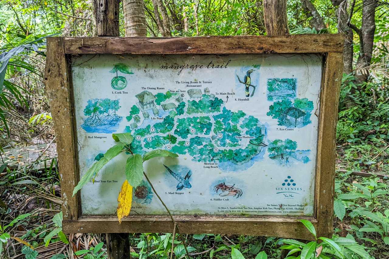 Six Senses Yao Noi mangrove trail