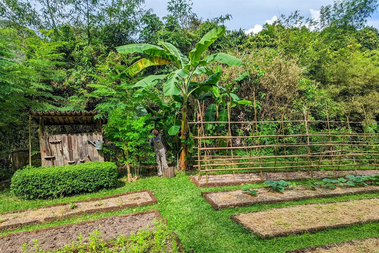 Six Senses Yao Noi garden