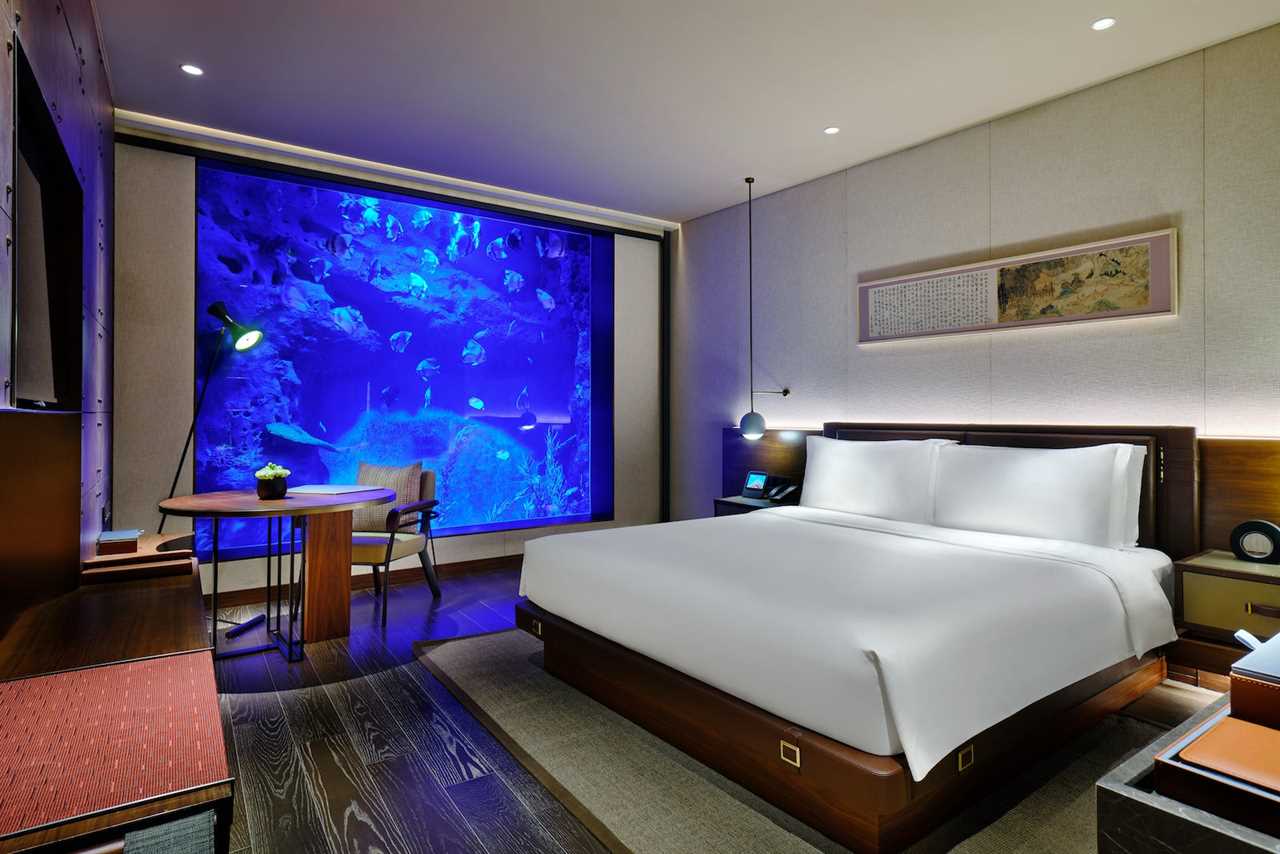 hotel room with aquarium wall