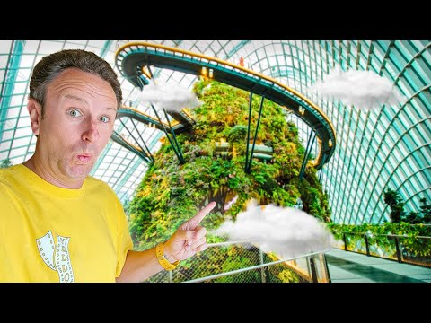Gardens By the Bay & Little India! 48 Hours in Singapore - Solo Travel Vlog Part 3