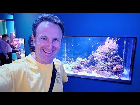 Best Aquarium in San Diego: Birch Aquarium at Scripps