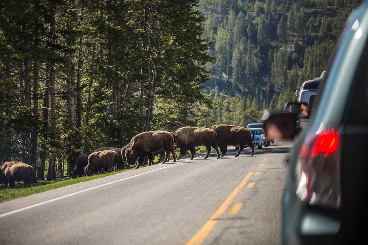 6 best road trips for visiting national parks