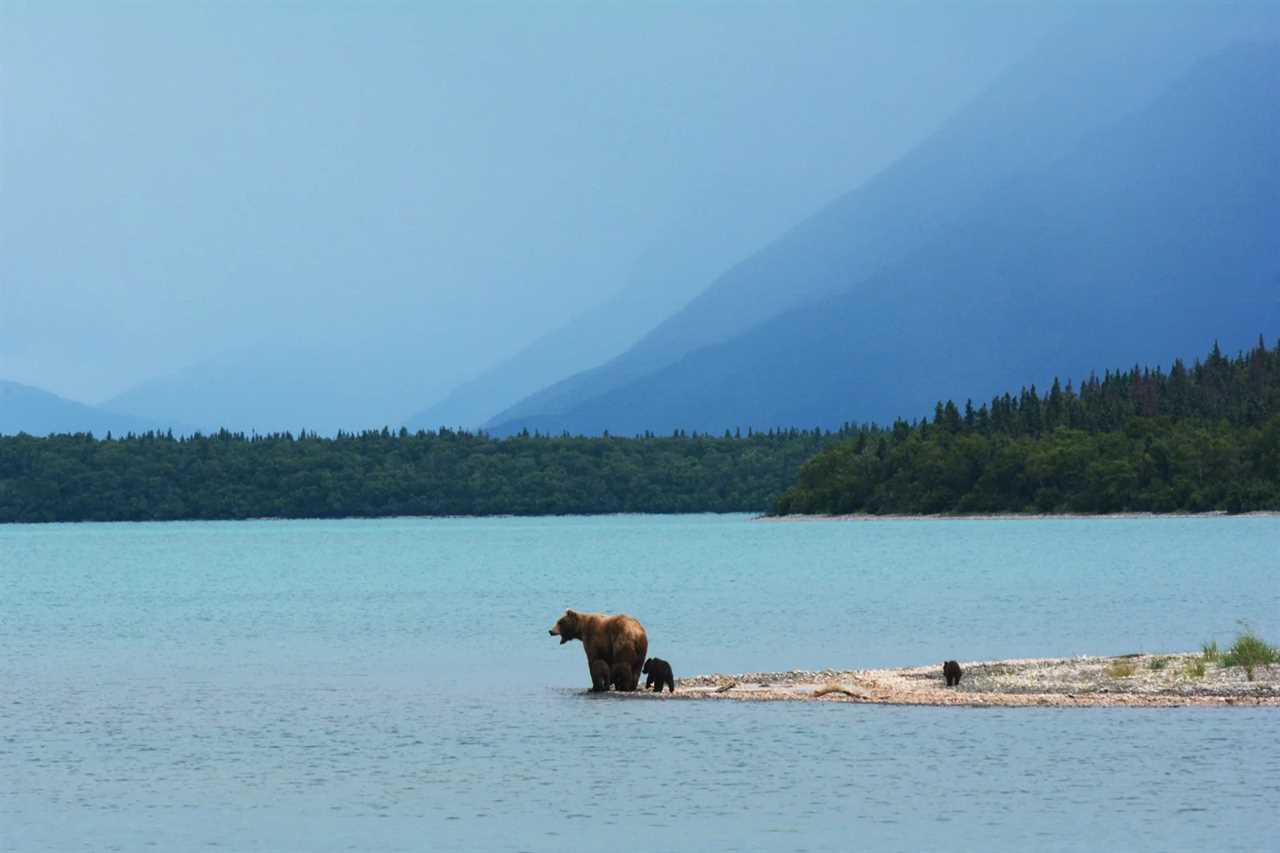 The Katmai National Park. (Photo by Paxson Woelber/Unsplash)