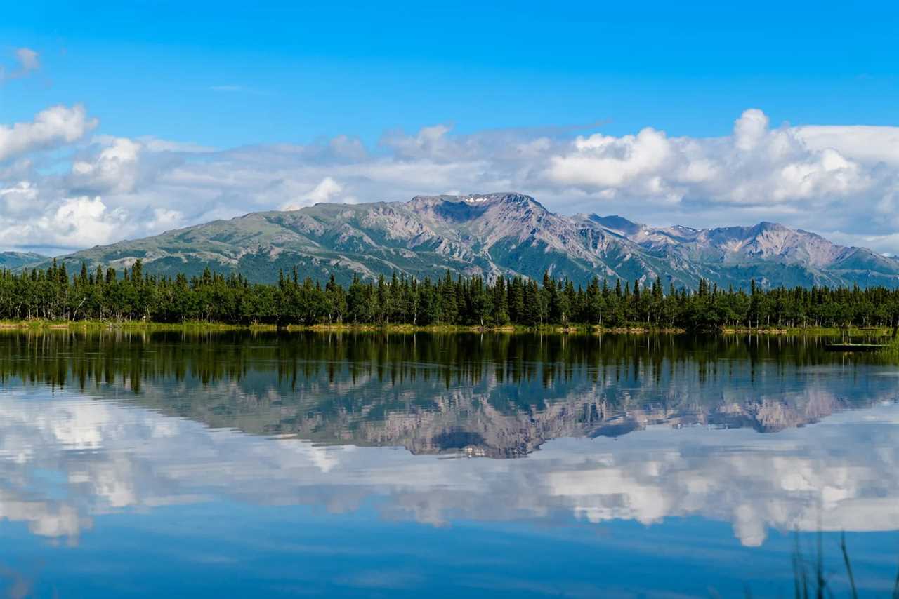 Denali National Park in Alaska is close to Juneau, a cheaper city to stay in. (Photo by Hari Nandakumar/Unsplash)