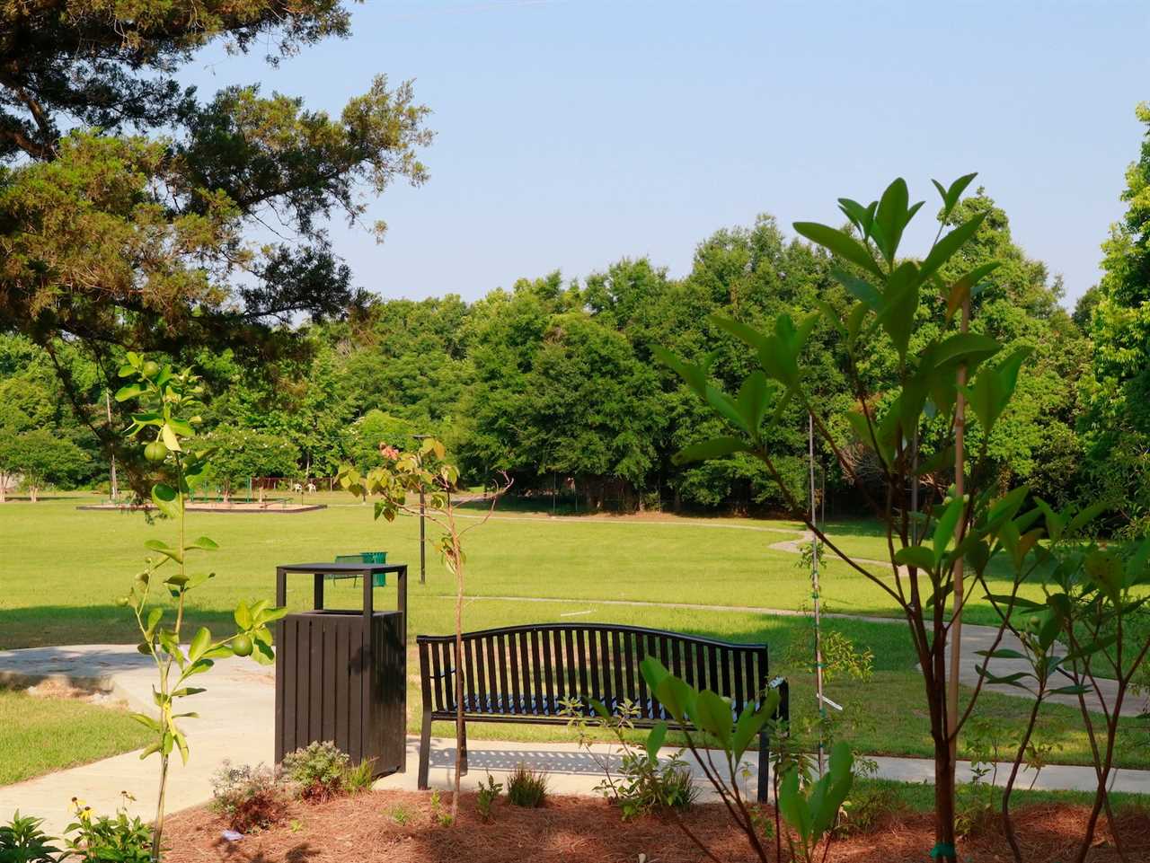 Park behind Africatown Heritage House