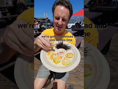 Eating LIVE SEA URCHIN in Santa Barbara