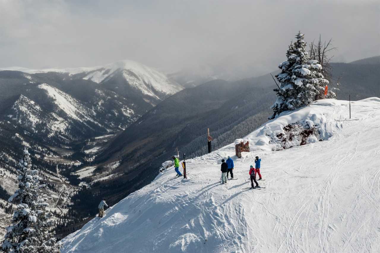 aspen in the snow